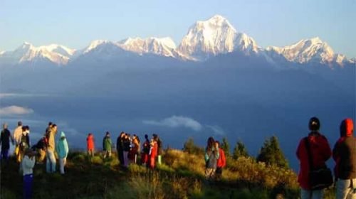Ghorepani Poon Hill Trek