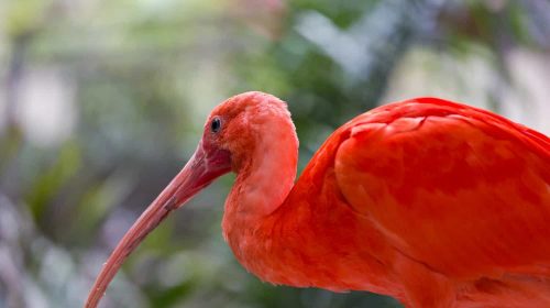 bird sanctuary near delhi