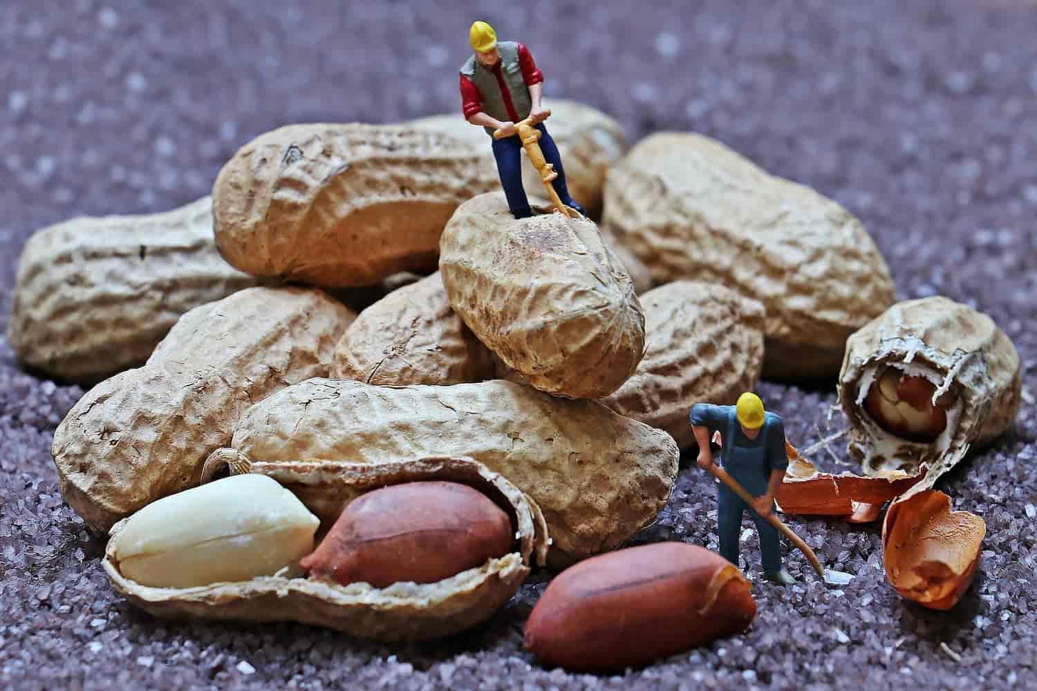 benefits of peanuts
