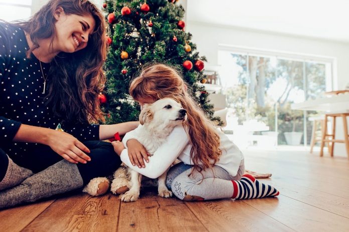 What Would Children Learn From Having Pets